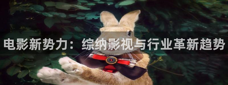 好好看影院：电影新势力：综纳影视与行业革新趋势