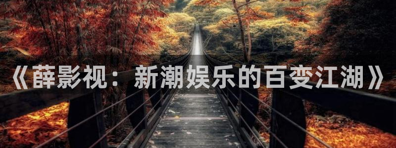 《四库影视》电视剧在线观看-好看影院：《薛影视：新潮娱乐的百变江湖》
