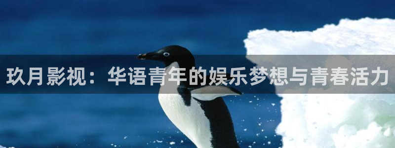 好看影院大全：玖月影视：华语青年的娱乐梦想与青春活力