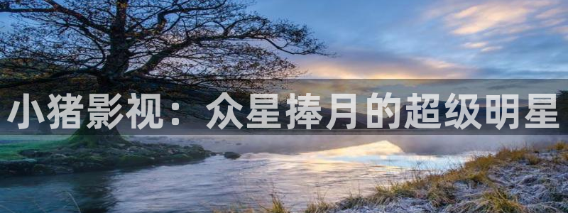 好好看影院：小猪影视：众星捧月的超级明星