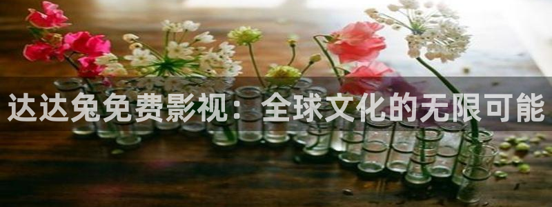 四虎好看影院：达达兔免费影视：全球文化的无限可能