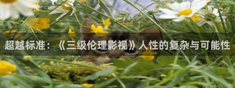 四虎好看影院：超越标准：《三级伦理影视》人性的复杂与可能性