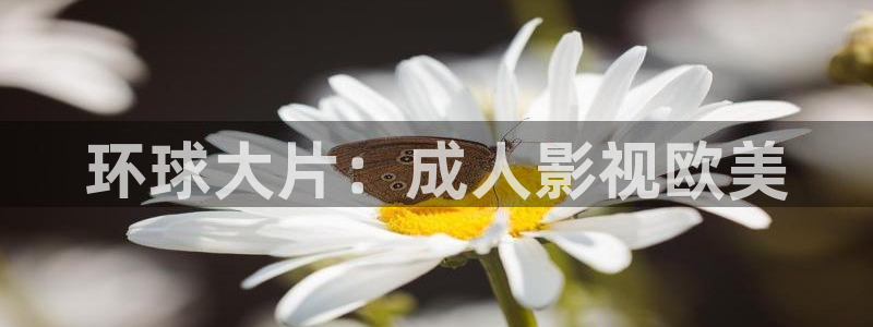 好看影院：环球大片：成人影视欧美