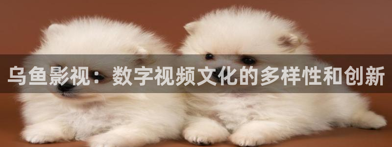 好看影院在线观看电影：乌鱼影视：数字视频文化的多样性和创新