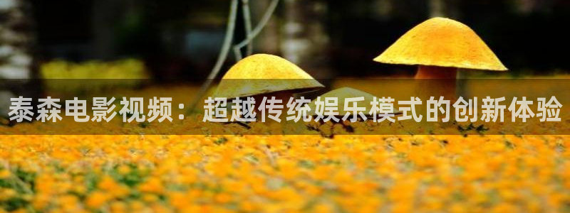 四虎好看影院：泰森电影视频：超越传统娱乐模式的创新体验