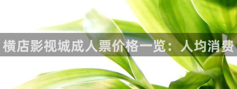 好看影院在线观看电影：横店影视城成人票价格一览：人均消费